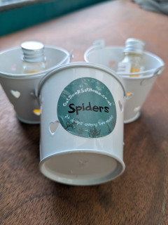 Spider Repelling Potions