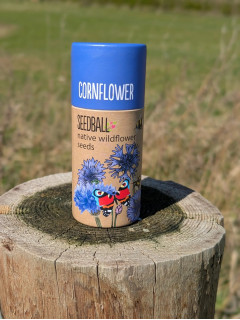 Cornflower Seedballs (20 balls)