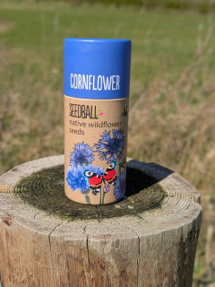 Cornflower Seedballs (20 balls)