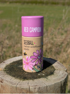 Red Campion Seedballs (20 balls)