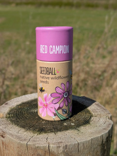 Red Campion Seedballs (20 balls)