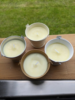 Trio of Wasp Repelling Candles