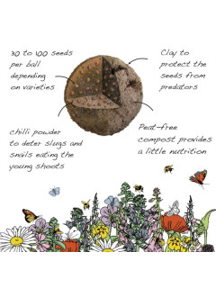 Garden Meadow Mix Seedballs packet
