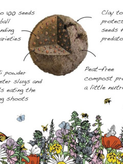 Edible Seedballs (100 balls)