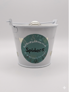 Spider Repelling Potions