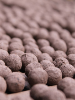 Annual Mix Seedballs packet