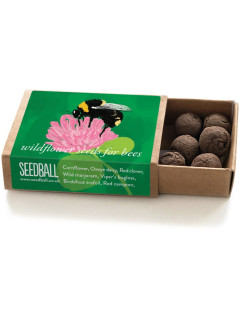 Trio of Wildflower Seedballs image