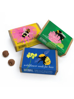 Trio of Wildflower Seedballs image