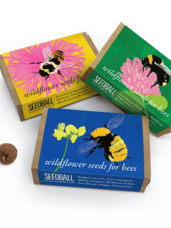 Trio of Wildflower Seedballs image