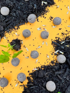 Shade Mix Seedballs packet