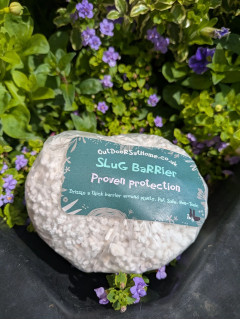 Slug & Snail Protection image