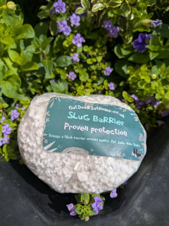 Slug & Snail Protection image