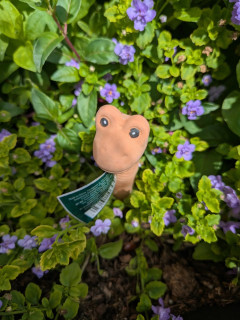 Willy the Water Sensor Worm Small